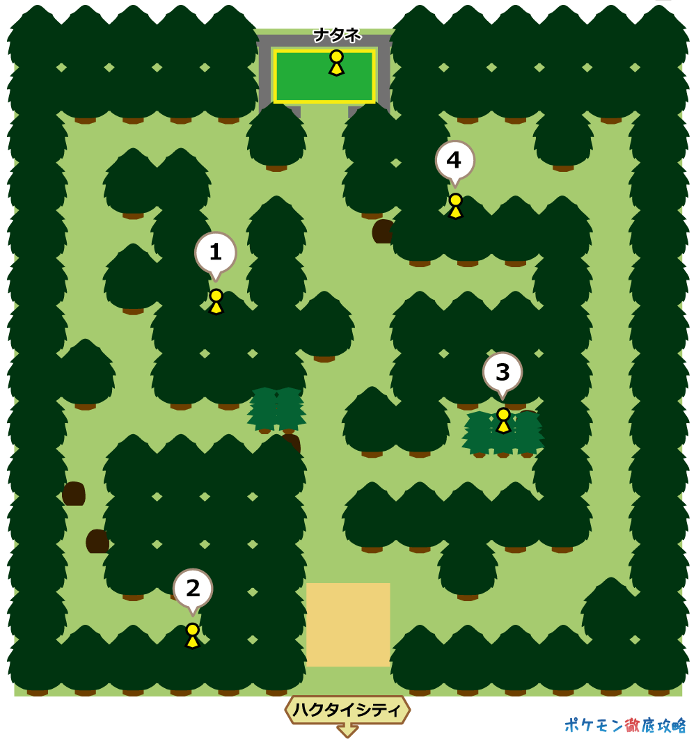 ハクタイシティ マップと出現ポケモン ダイパリメイク攻略 ポケモン徹底攻略 ハクタイシティ マップと出現ポケモン ダイパリメイク攻略 ポケモン徹底攻略